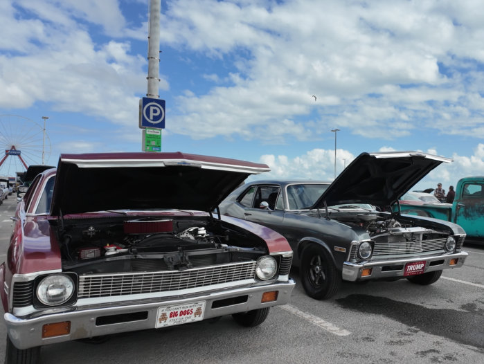 Endless Summer Cruisin’
